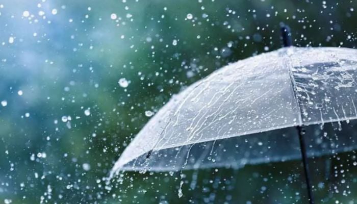 Rain with gusty wind likely in 3 divisions 