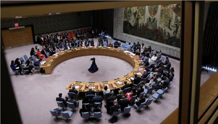 UN Security Council to vote Friday on Palestinian UN membership