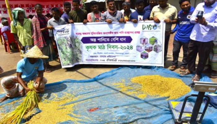 AWD reduces water waste, boosts paddy yield in Barind