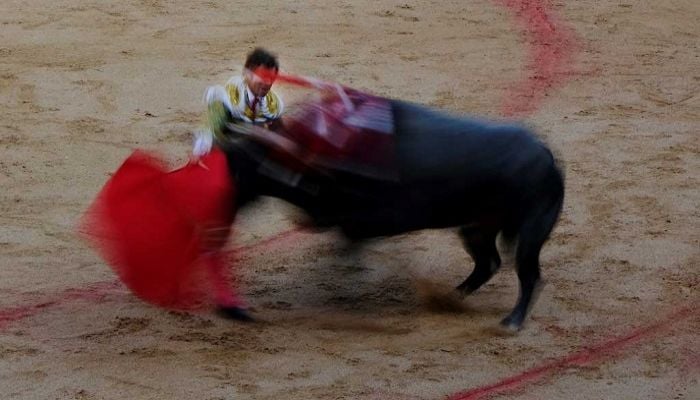 Spain abolishes national bullfighting award in cultural shift