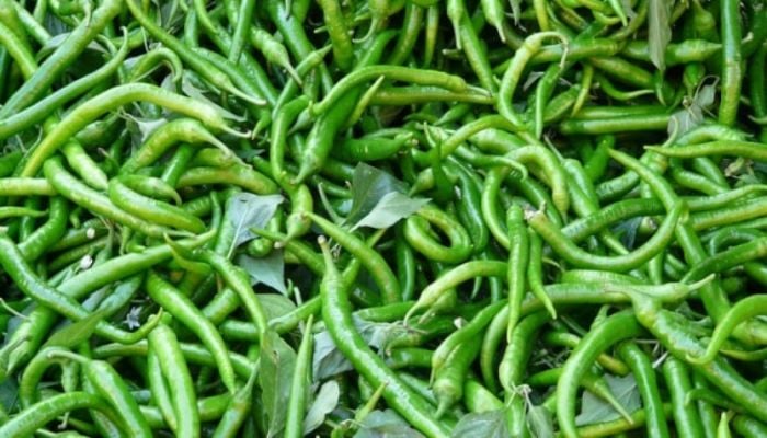 Green chilli import starts through Hili port