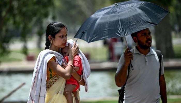 Indian capital of Delhi breaks all-time heat record