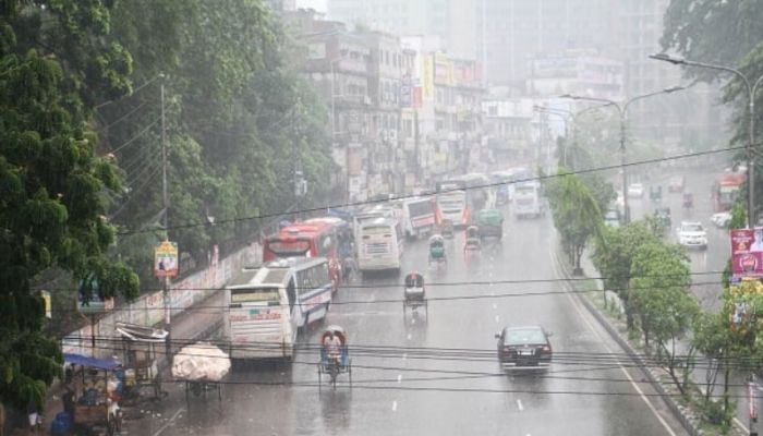 Rain with gusty wind likely