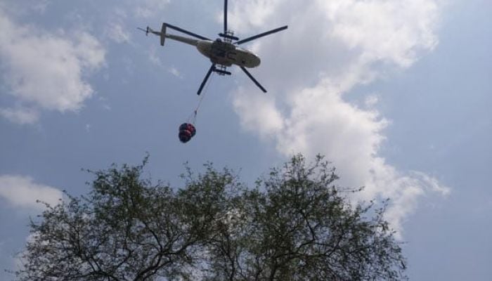 Fire in the Sundarbans is now under control: environment ministry