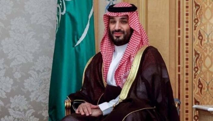 Saudi crown prince, US national security advisor meet for talks