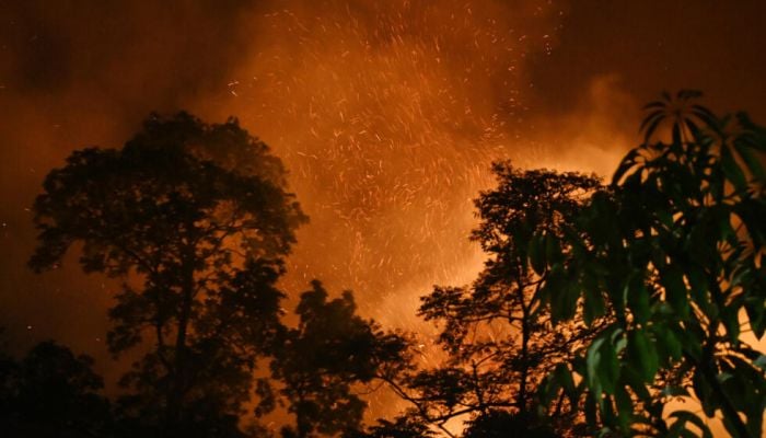 Nepal battles raging wildfires across the country