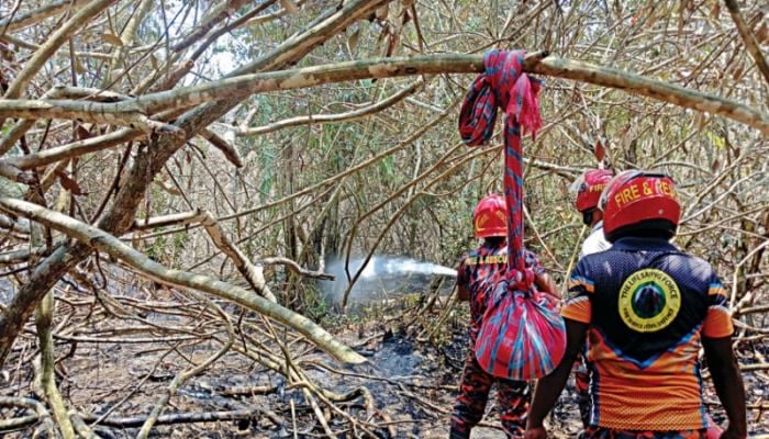 Committee formed to assess loss of biodiversity in Sundarbans fire