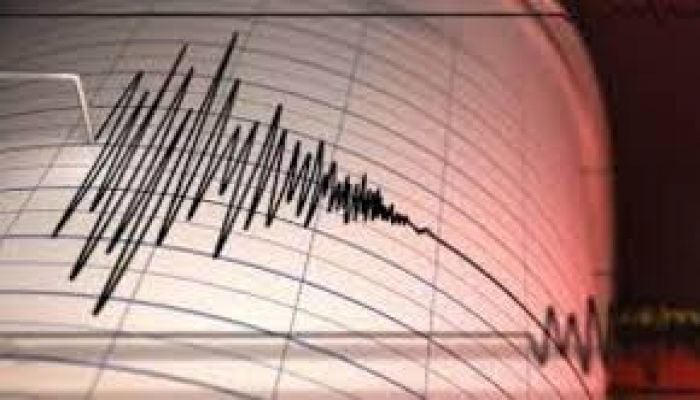 Magnitude 6.6 earthquake strikes near Tonga: USGS  