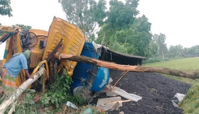 Truck driver killed in Jamalpur road accident