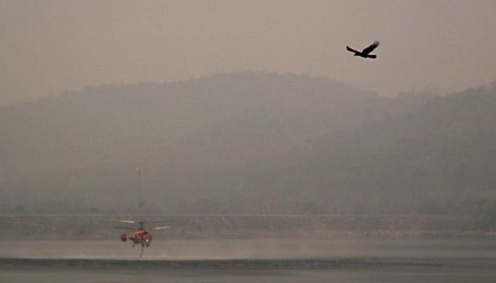 Air pollution linked to 135 million premature deaths: study