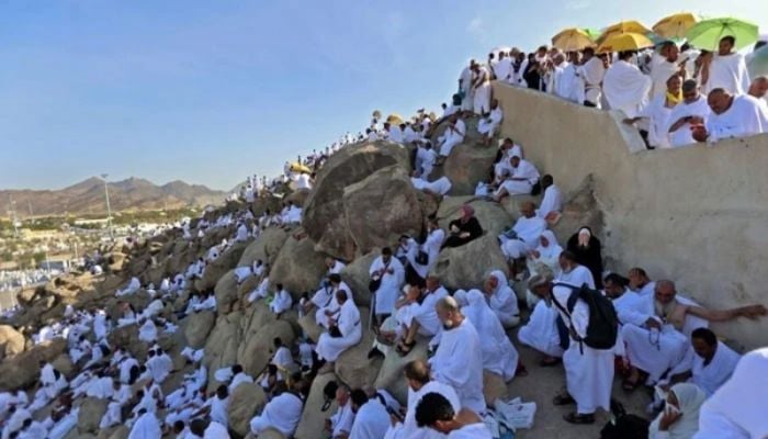 Muslim pilgrims pray on Mount Arafat in hajj climax