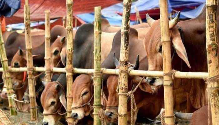 DSCC opens control room for waste management of Qurbani