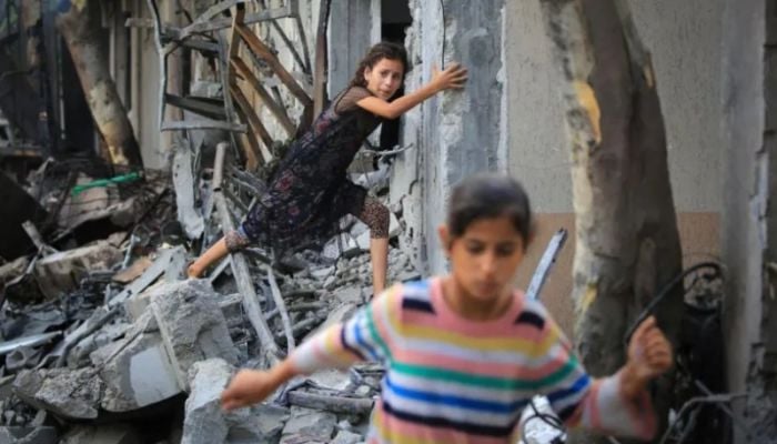 UN Security Council backs US Israel-Gaza ceasefire plan
