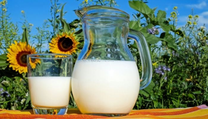 5 ways to prevent milk from turning sour in Summer