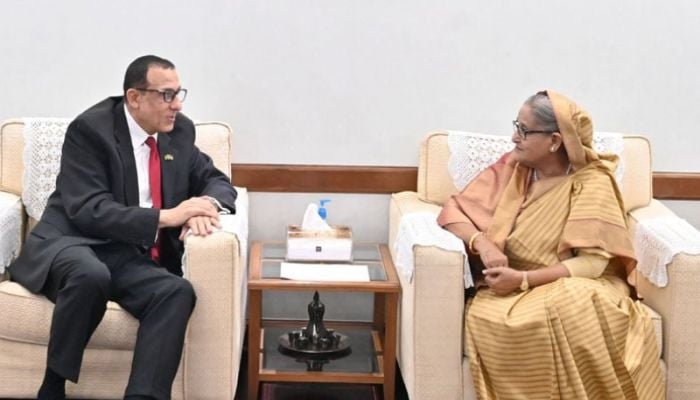 PM censures Western countries’ attitude towards Palestine