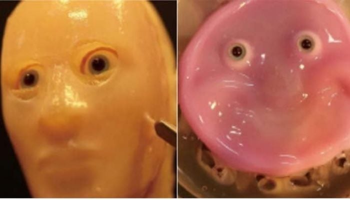 Japan scientists make smiling robot with 'living' skin