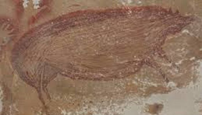World's oldest artwork discovered in Indonesian cave