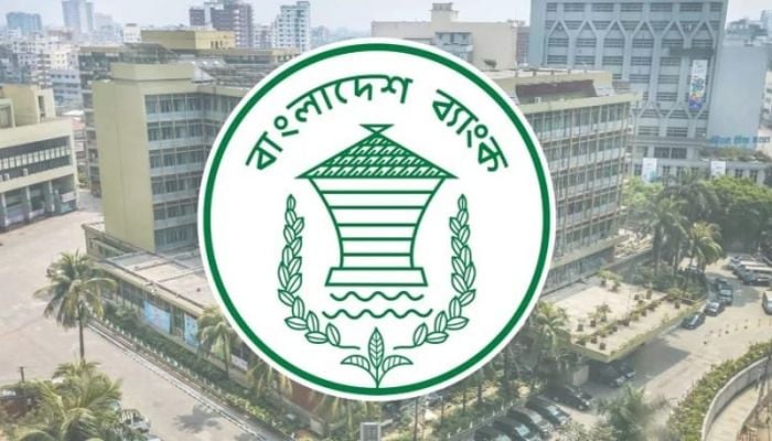 Interim govt to deal with resignations of officials: BB