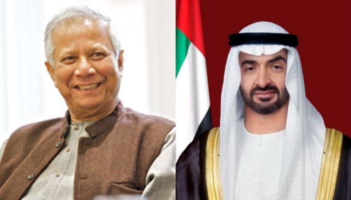 UAE President greets Chief Adviser
