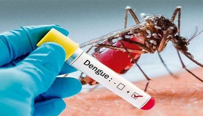 Four dengue patients die, 346 hospitalized in last 24 hrs 