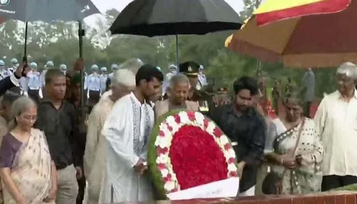 Interim govt advisers pay tributes to Liberation War martyrs at Savar