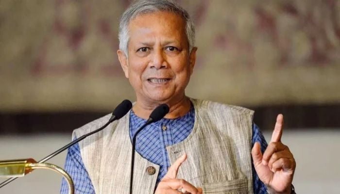 Interim govt committed to hold fair and participatory elections