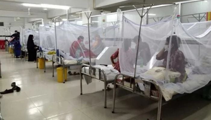 Dengue situation remains tolerable: LGRD adviser