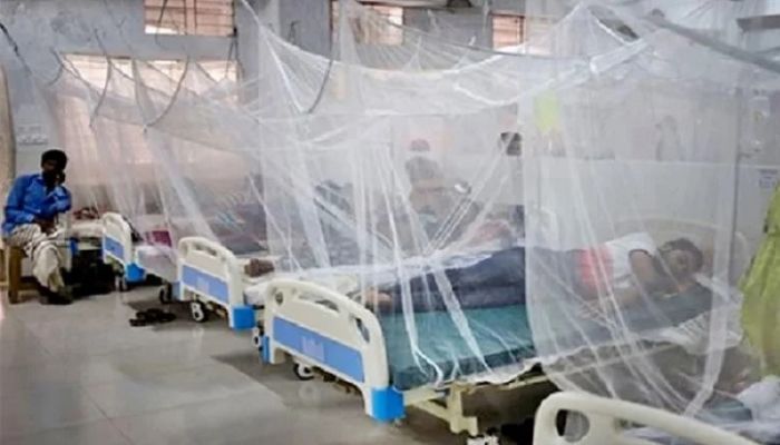 5 dengue patients die