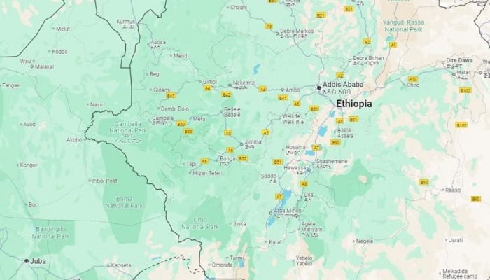 Ethiopia bus accident kills at least 28: officials