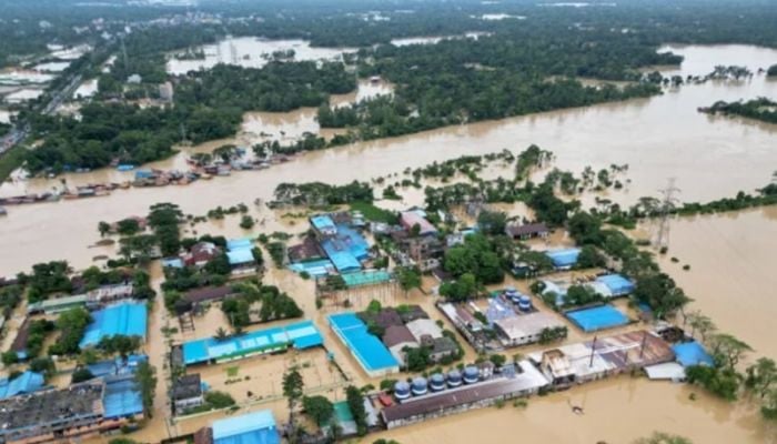 74 dead in August floods