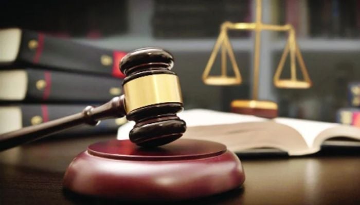 Court imposes travel ban on Hasan Mahmud, 25 others