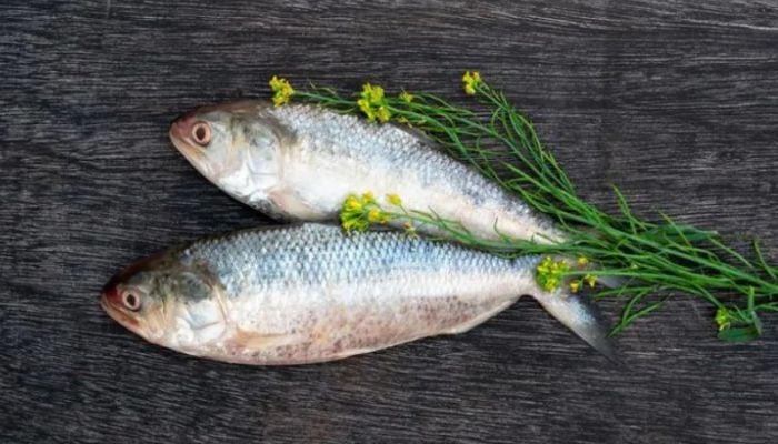 'Fish diplomacy' setback for India and Bangladesh