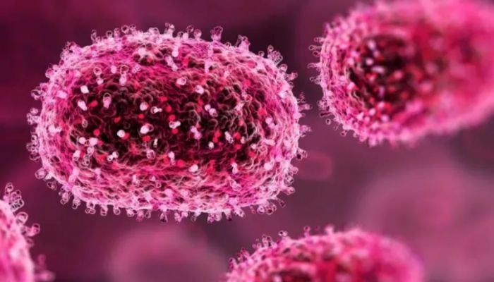 India confirms first mpox case in current outbreak