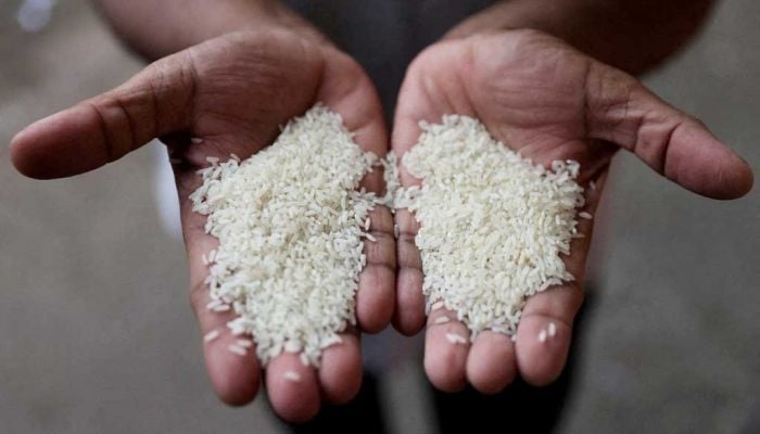 India halves export duty on parboiled rice to boost shipments
