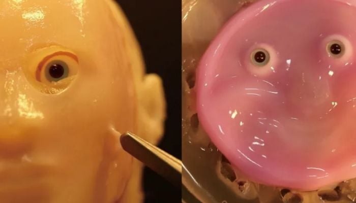 Japanese scientists graft living skin onto 'smiling' robot