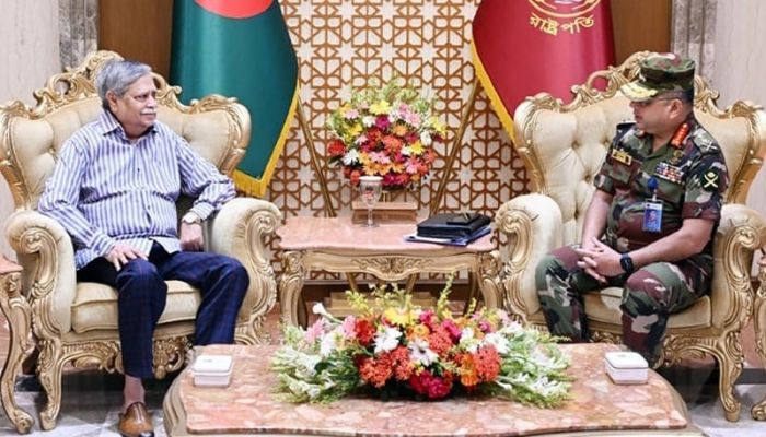 Army chief pays courtesy call on president
