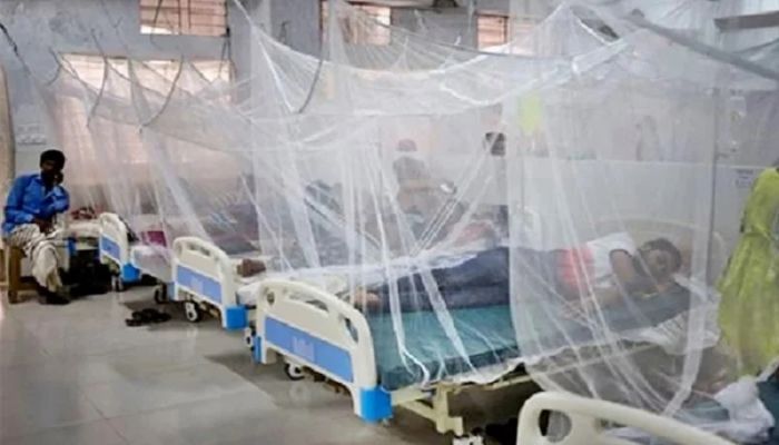 8 dengue patients die, 1,108 hospitalized in last 24 hrs