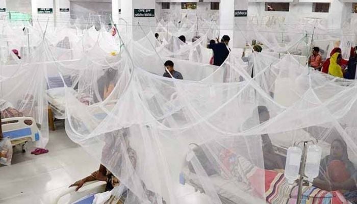 Seven die, 1,243 hospitalised with dengue fever