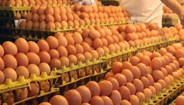 NBR cuts import duty on eggs