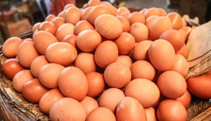 Govt fixes the price of eggs