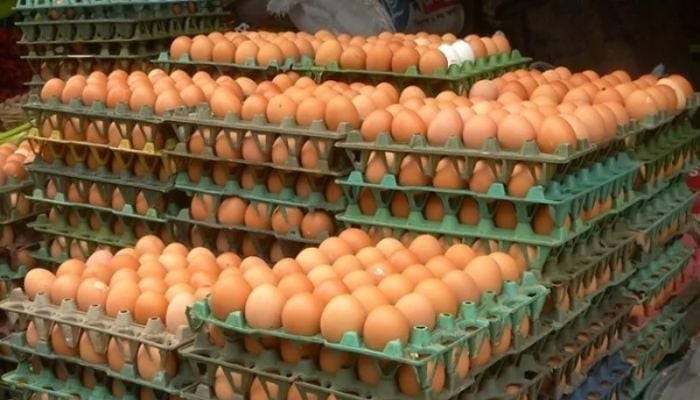 Egg price drops by Tk 25-30 per dozen following govt steps