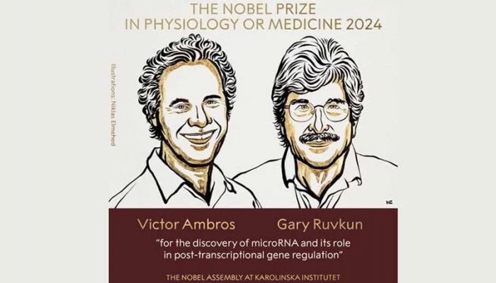 US duo win Nobel for gene regulation breakthrough