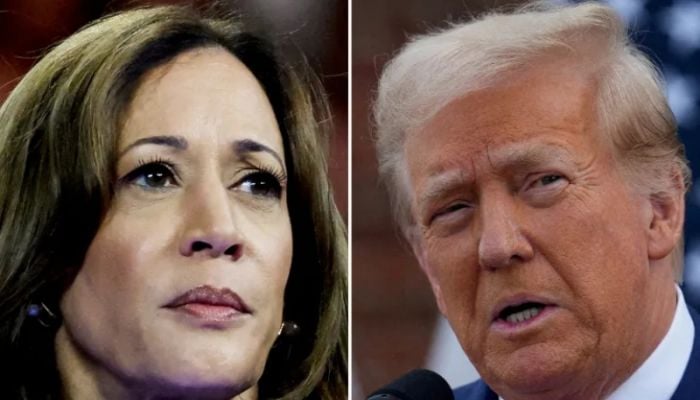 Harris losing ground to Trump in US presidential election
