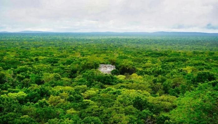 Lost city found in Mexico jungle