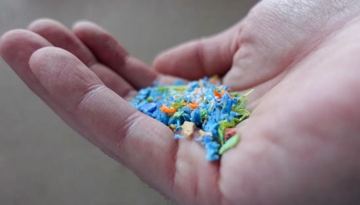 How harmful are microplastics to human health?