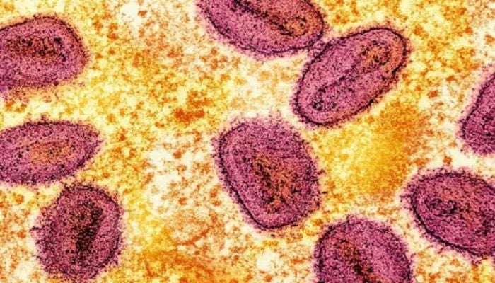 Africa reports 1,100 mpox deaths
