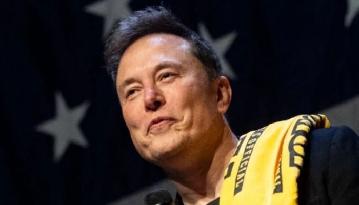 Elon Musk worked 'illegally' in US at start of his career: Report