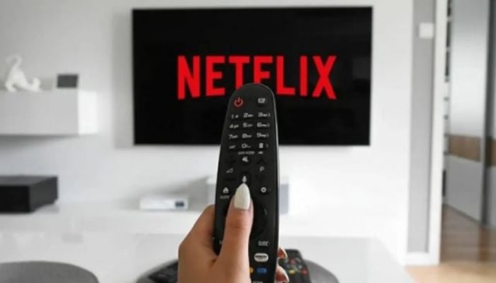 Netflix adds millions of subscribers but growth slows