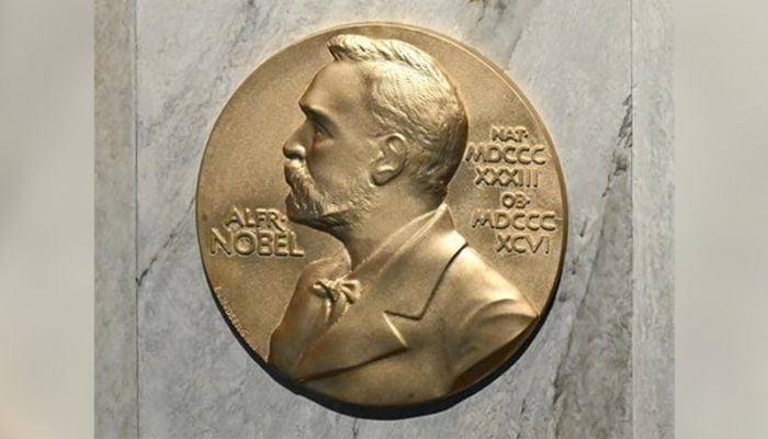 2024 Nobels offer glimmer of hope as global crises mount