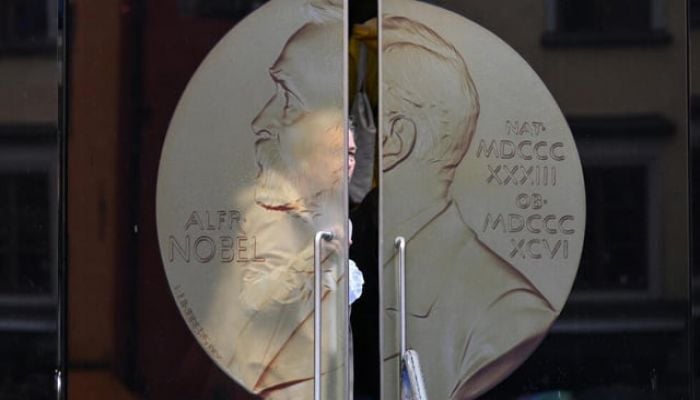 2024 Nobel Peace Prize, a plea in favour of world order?